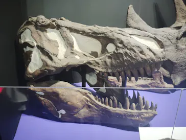 大絶滅展ー生命史のビッグファイブ（名古屋会場）に投稿された画像（2026/6/19）