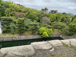 元離宮二条城に投稿された画像（2026/6/19）