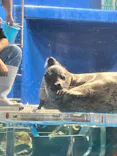 のとじま水族館に投稿された画像（2026/6/19）