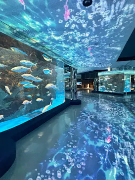 のとじま水族館に投稿された画像（2026/6/19）