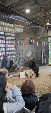のぼりべつクマ牧場に投稿された画像（2026/6/19）