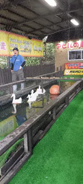 のぼりべつクマ牧場に投稿された画像（2026/6/19）