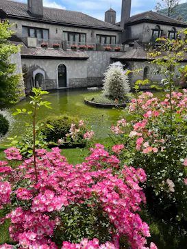 箱根ガラスの森美術館に投稿された画像（2026/6/19）