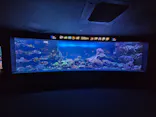 サンシャイン水族館に投稿された画像（2026/6/19）