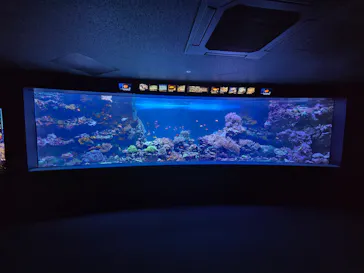 サンシャイン水族館に投稿された画像（2026/6/19）