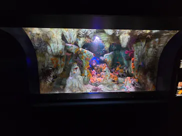 サンシャイン水族館に投稿された画像（2026/6/19）