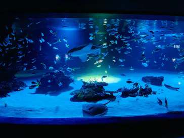 サンシャイン水族館に投稿された画像（2026/6/19）