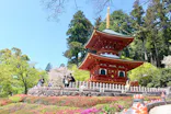 勝尾寺に投稿された画像（2026/6/19）