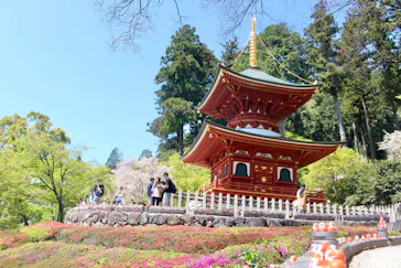 勝尾寺に投稿された画像（2026/6/19）