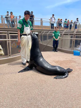 アクアワールド茨城県大洗水族館に投稿された画像（2026/6/19）