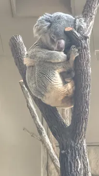 名古屋市東山動植物園に投稿された画像（2026/6/19）