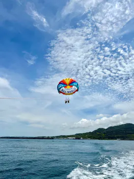 Sea World（シーワールド）に投稿された画像（2026/6/19）