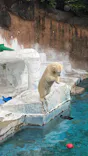 天王寺動物園に投稿された画像（2026/6/20）