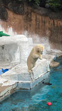 天王寺動物園に投稿された画像（2026/6/19）
