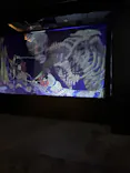 動き出す妖怪展 TOKYO 〜Imagination of Japan〜に投稿された画像（2026/6/20）
