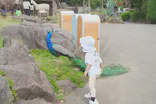 伊豆シャボテン動物公園に投稿された画像（2026/6/20）