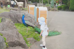 伊豆シャボテン動物公園に投稿された画像（2026/6/20）