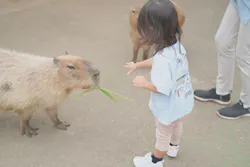 伊豆シャボテン動物公園に投稿された画像（2026/6/20）