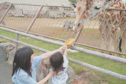 伊豆シャボテン動物公園に投稿された画像（2026/6/20）
