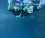 武藤潜水に投稿された画像（2026/6/20）