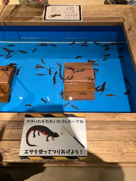釣って見つけるぼうけんの国　豊橋店に投稿された画像（2026/6/20）