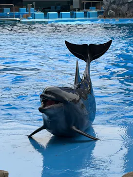 名古屋港水族館に投稿された画像（2026/6/20）