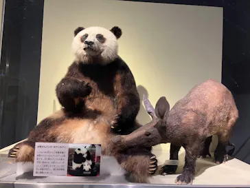 国立科学博物館に投稿された画像（2026/6/20）