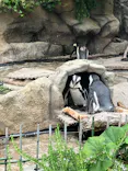 サンシャイン水族館に投稿された画像（2026/6/20）
