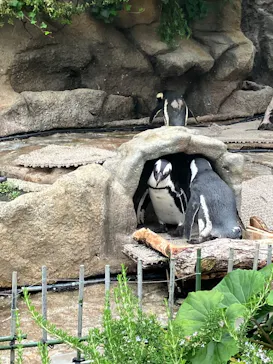サンシャイン水族館に投稿された画像（2026/6/20）