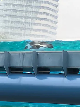 サンシャイン水族館に投稿された画像（2026/6/20）