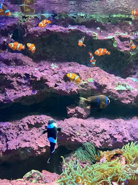 サンシャイン水族館に投稿された画像（2026/6/20）