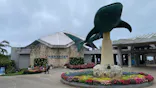 沖縄美ら海水族館に投稿された画像（2026/6/20）