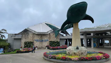 沖縄美ら海水族館に投稿された画像（2026/6/20）