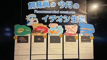沖縄美ら海水族館に投稿された画像（2026/6/20）