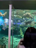 名古屋港水族館に投稿された画像（2026/6/20）