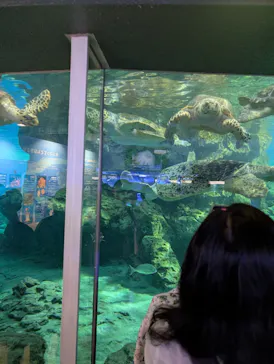 名古屋港水族館に投稿された画像（2026/6/20）