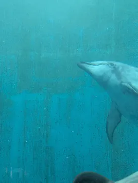 名古屋港水族館に投稿された画像（2026/6/20）
