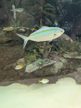 名古屋港水族館に投稿された画像（2026/6/20）