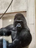 名古屋市東山動植物園に投稿された画像（2026/6/20）
