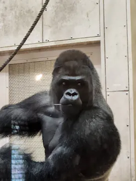 名古屋市東山動植物園に投稿された画像（2026/6/20）