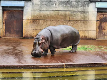 名古屋市東山動植物園に投稿された画像（2026/6/20）