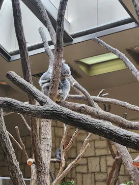 名古屋市東山動植物園に投稿された画像（2026/6/20）
