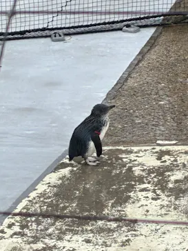 葛西臨海水族園に投稿された画像（2026/6/20）