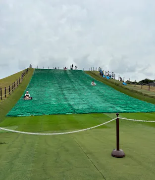 長井海の手公園ソレイユの丘に投稿された画像（2026/6/20）