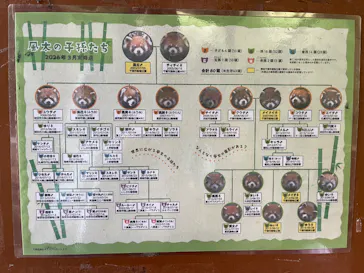 千葉市動物公園に投稿された画像（2026/6/20）
