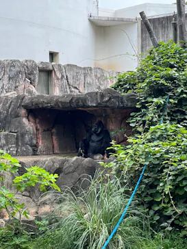 千葉市動物公園に投稿された画像（2026/6/20）