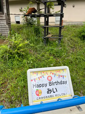 千葉市動物公園に投稿された画像（2026/6/20）