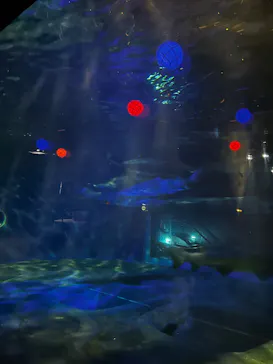 アクアワールド茨城県大洗水族館に投稿された画像（2026/6/20）