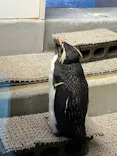 AOAO SAPPOROに投稿された画像（2026/6/20）