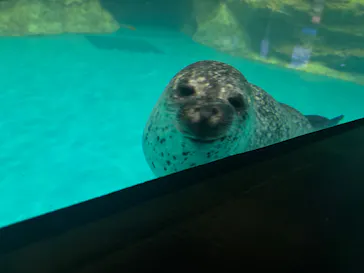 アクアワールド茨城県大洗水族館に投稿された画像（2026/6/20）